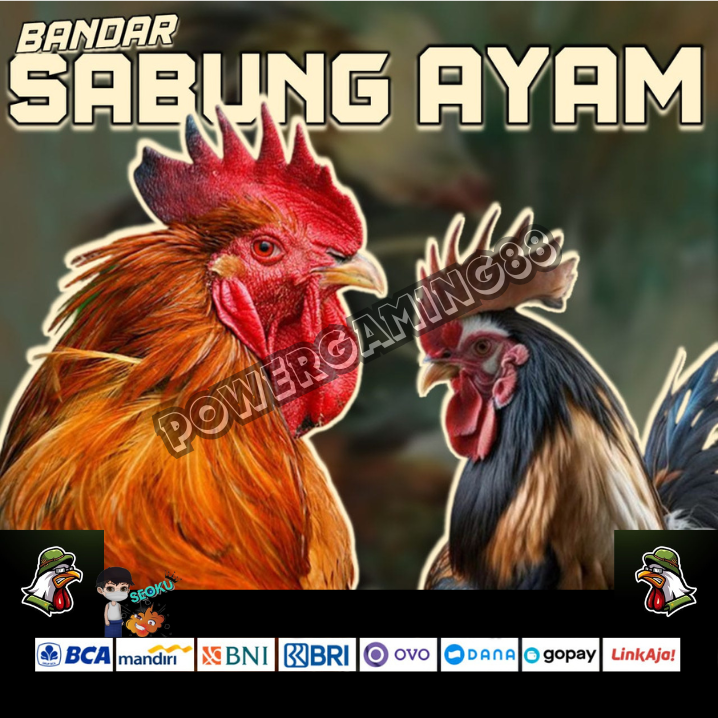 POWERGAMING88 🐣 Login Sabung Ayam Online Resmi Taruhan Wala Meron Live 24 Jam