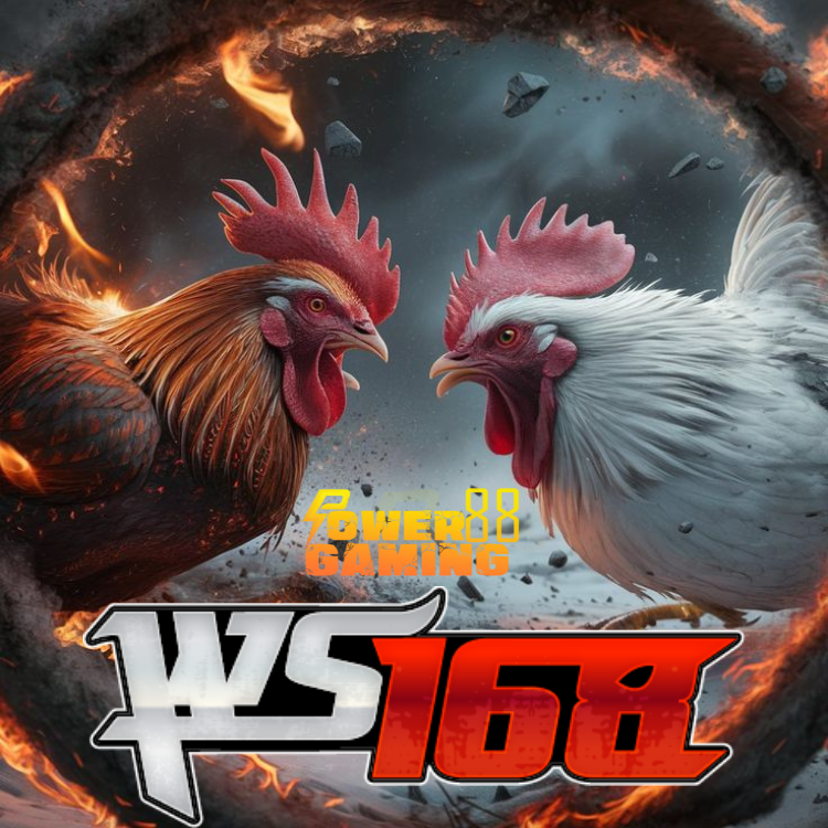 WS168 : Bandar Judi Sabung Ayam Online Server Filipina Live 24 Jam Nonstop Setiap Hari