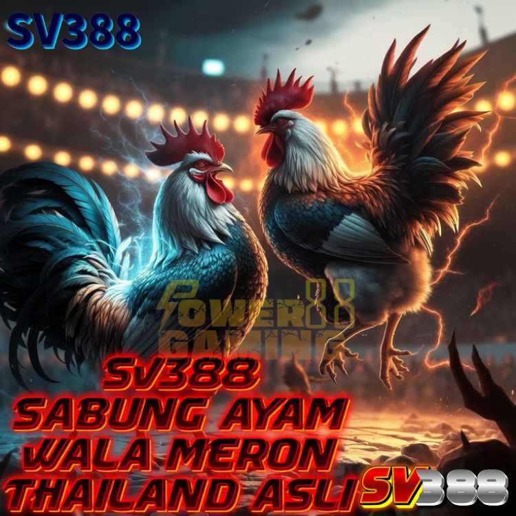 Powergaming88 : Bandar Sv388 Situs Sabung Ayam Online Wala Meron Bonus 100%