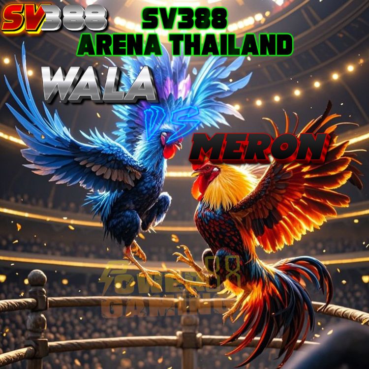 Powergaming88 : Agen Sv388 Bandar Sabung Ayam Online Wala Meron No 1 Arena Thailand