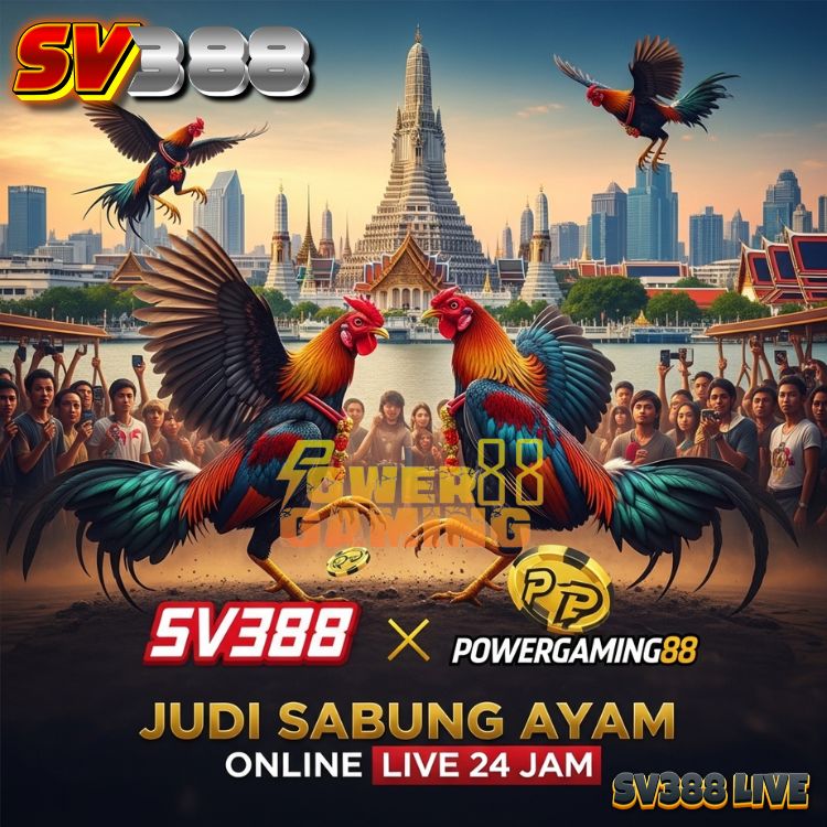 Powergaming88 : Bandar Sabung Ayam Online Arena Bangkok Platform Sv388 Live 24 jam