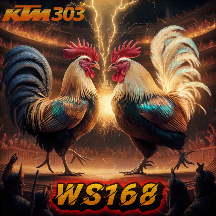 WS168 : Link Login Sabung Ayam Online Bonus Terbesar Dan Terpercaya