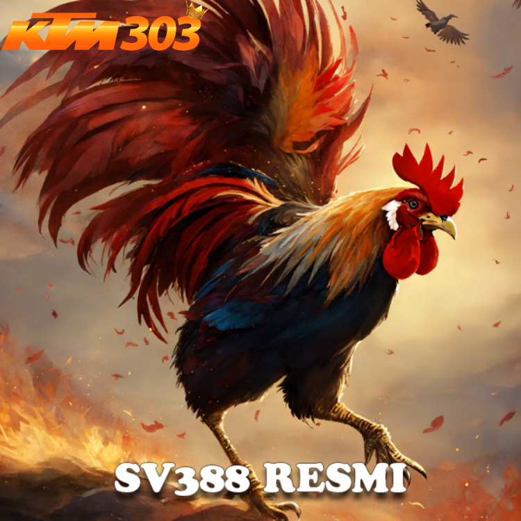 SV388 : Bandar Resmi Situs Judi Sabung Ayam Online Live 24 Jam Terpercaya Mudah Menang