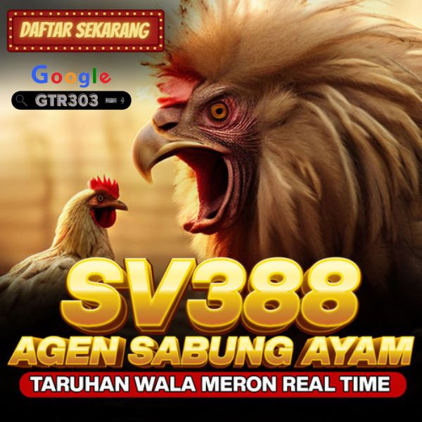 GTR303 | Situs Agen Sabung Ayam Online Wala Meron Live 24 Jam Resmi Terpercaya No-1