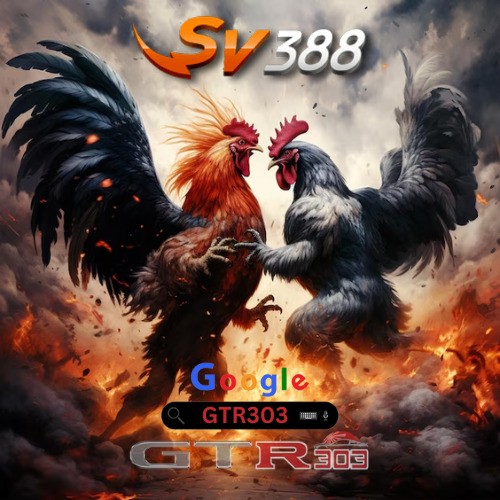 SV388 : Link Situs Daftar Sabung Ayam Online Wala Meron Resmi Live 24 Jam Terpercaya 2024