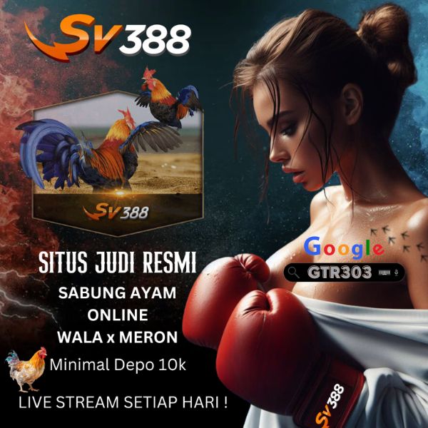 SV388 > Situs Bandar Online Judi Live Sabung Ayam Online Wala Meron 24 Jam Terpercaya