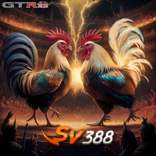 SV388 : Bandar Sabung Ayam Online Wala Meron Live Streaming 24 Jam Terlengkap