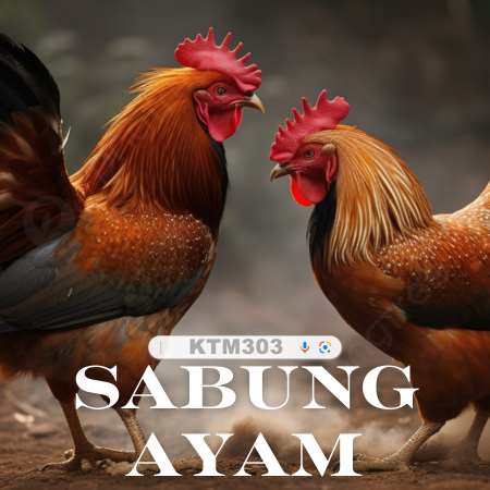 SV388 : Link Daftar Sabung Ayam Online Resmi Wala Meron Tepercaya Live 24 Jam