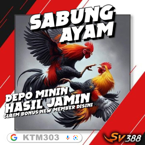 SV388 > Link Login Taruhan Adu Ayam Wala Meron Situs Sabung Ayam Online Terpercaya