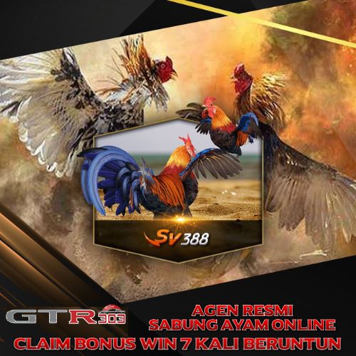 SV388 : Link Login Sabung Ayam Online Wala Meron Resmi Live Streaming 24 Jam