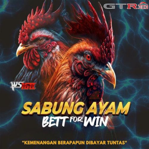 WS168 $ Agen Resmi Permainan Sabung Ayam Online Ws168 24 Jam Terpercaya