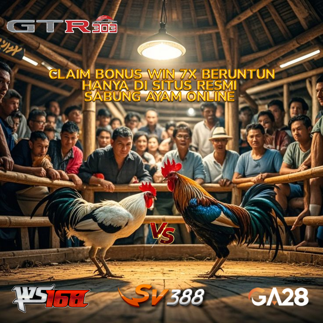 SABUNG AYAM 