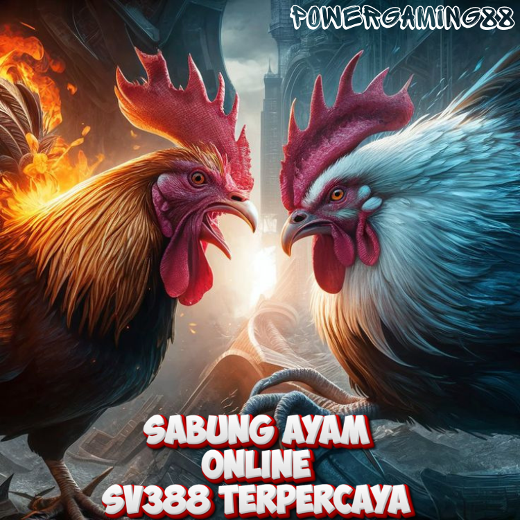 SV388 : Login Situs Resmi Judi Sabung Ayam Online Terpercaya Dan Terbaik No 1 Di Indonesia Saat Ini