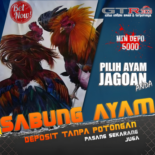 Galeri foto SV388: Link Daftar Taruhan Sabung Ayam Sv388 Online Wala Meron Terpercaya di Jakarta