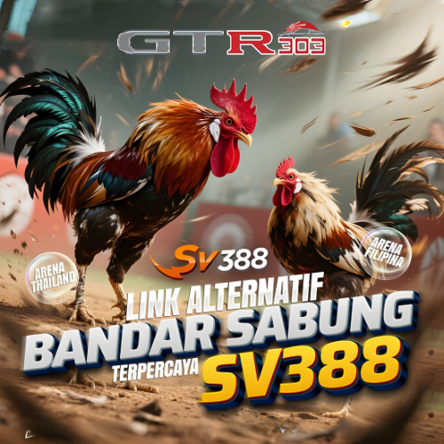 Galeri foto SV388 : Link Arena Judi Sabung Ayam Sv388 Online Wala Meron 24 Jam Terpercaya di Jakarta